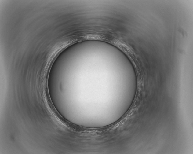 X0000111850049200907301119