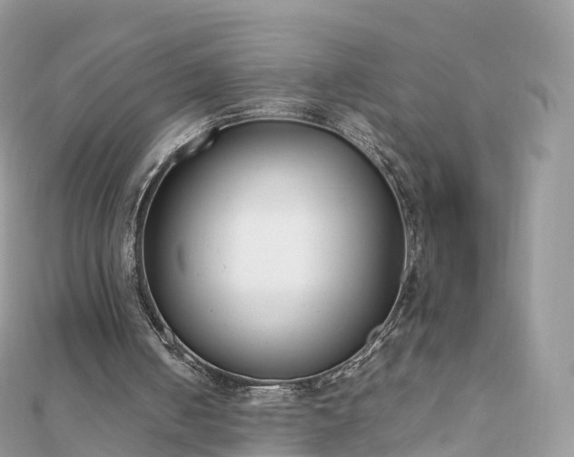 X0000111850050200907301119