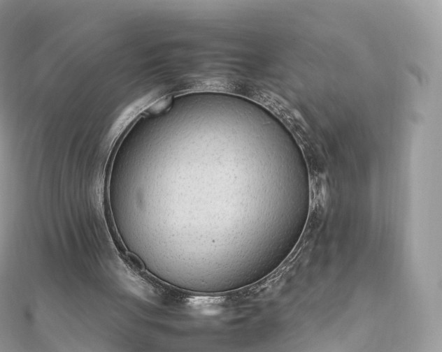 X0000111850051200907301119