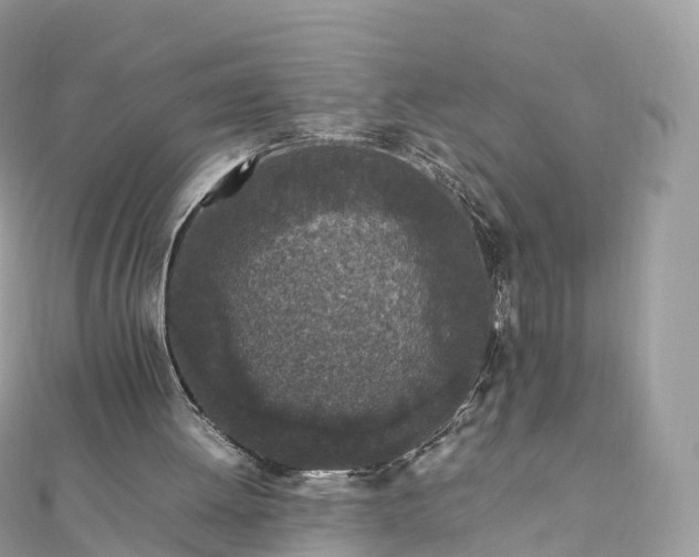 X0000111850052200907301119