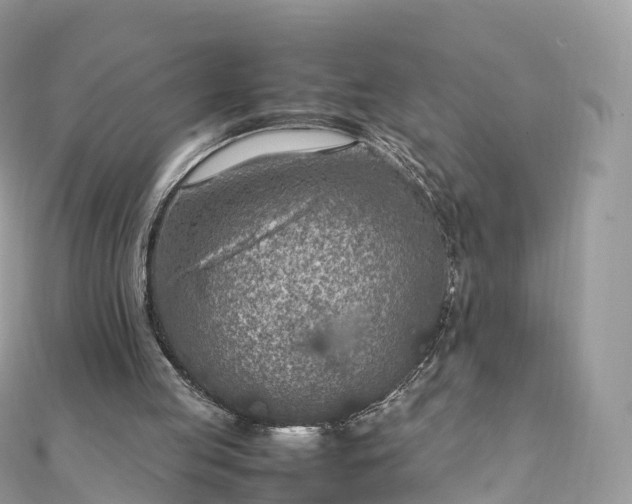 X0000111850053200907301119