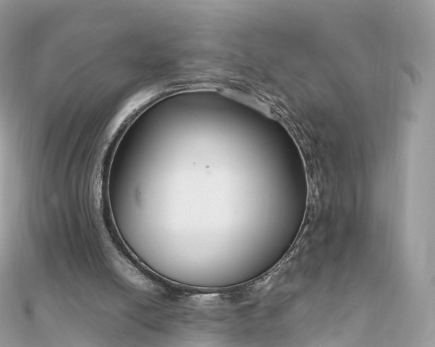 X0000111850054200907301119