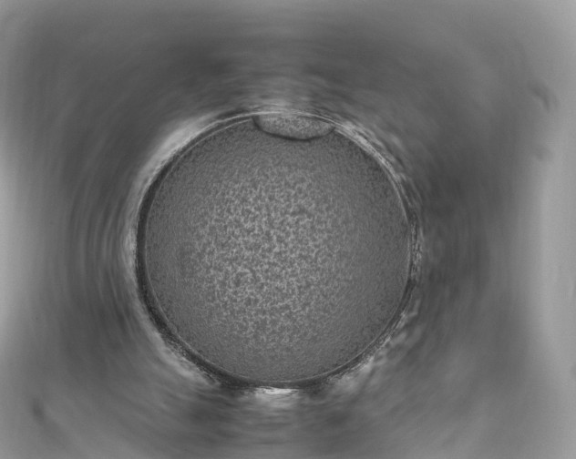 X0000111850055200907301119