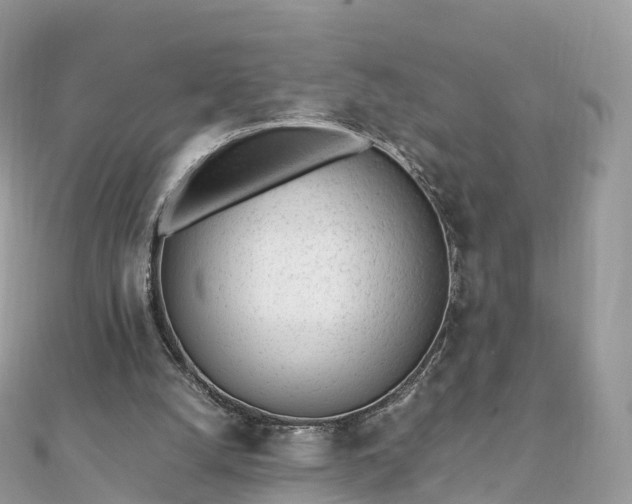 X0000111850056200907301119