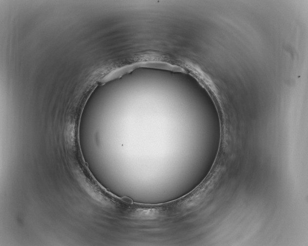 X0000111850057200907301119