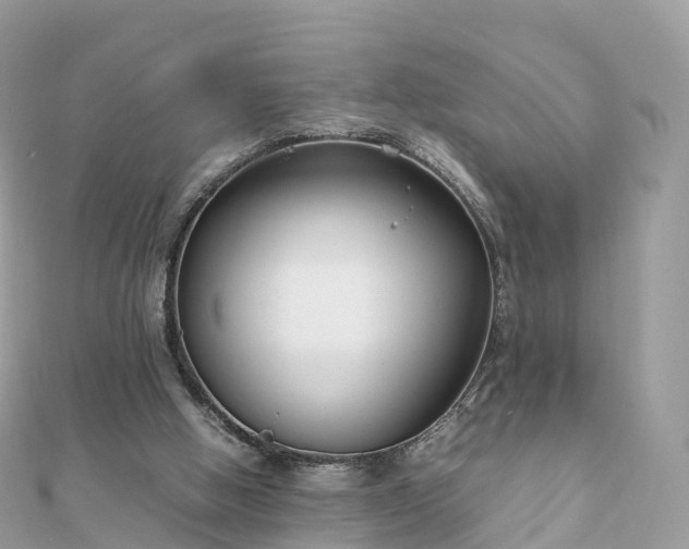 X0000111850058200907301119