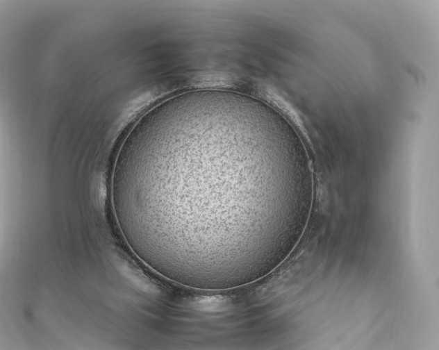 X0000111850059200907301119