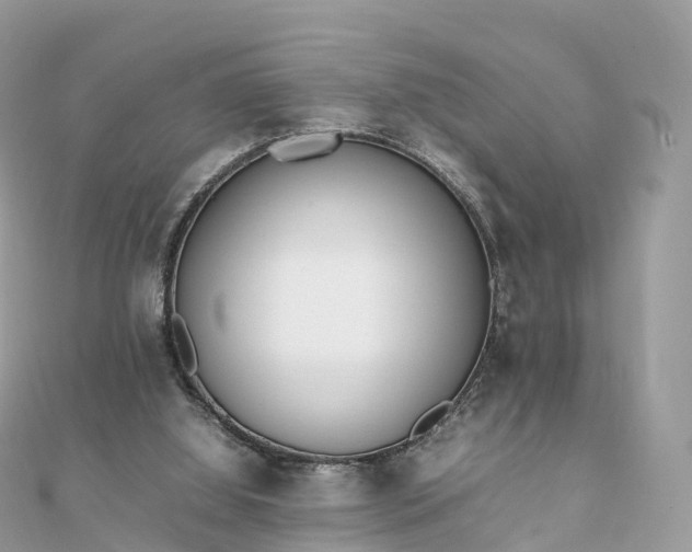 X0000111850060200907301119