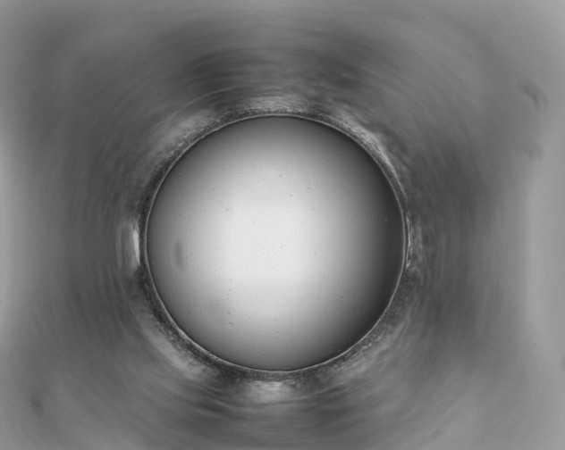 X0000111850061200907301119