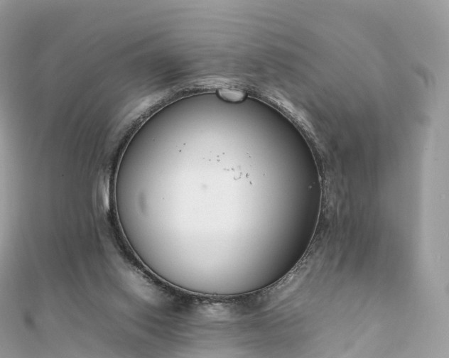 X0000111850062200907301119