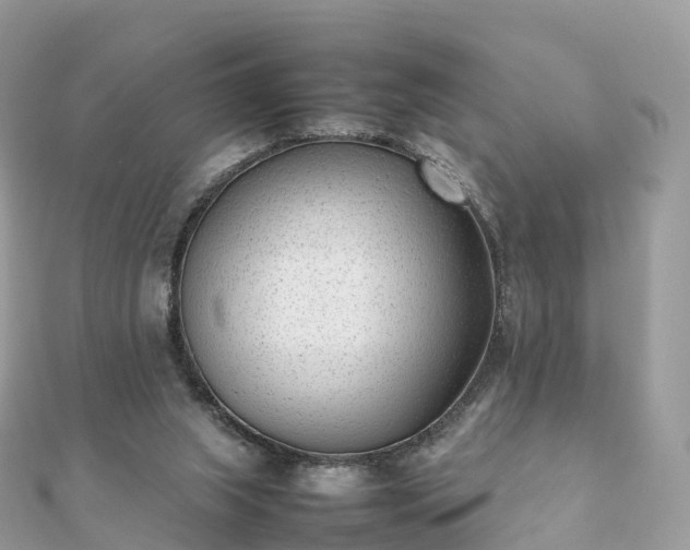 X0000111850063200907301119