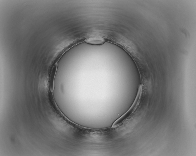 X0000111850064200907301119