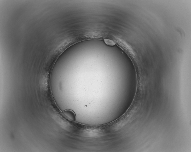 X0000111850065200907301119