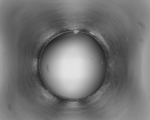 X0000111850066200907301119