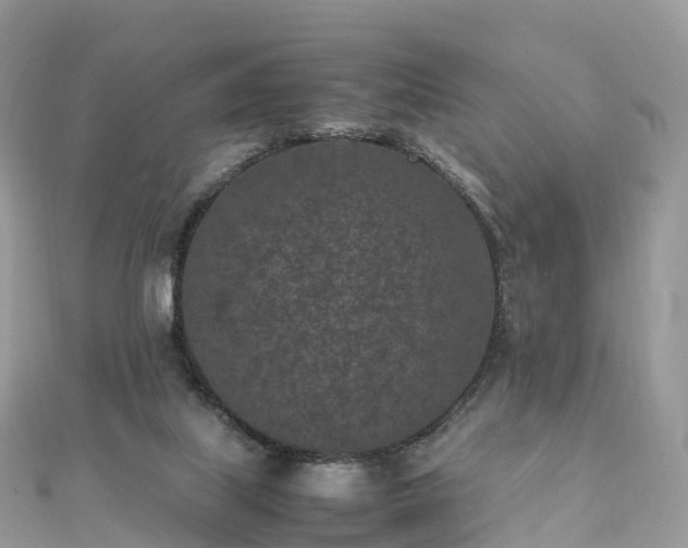 X0000111850067200907301119