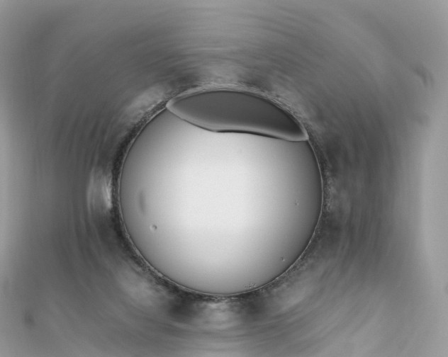 X0000111850068200907301119