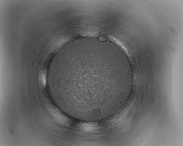 X0000111850069200907301119