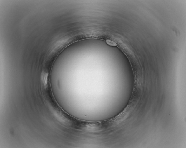 X0000111850070200907301119