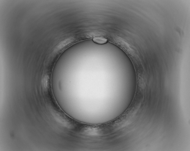 X0000111850071200907301119