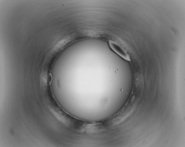 X0000111850072200907301119