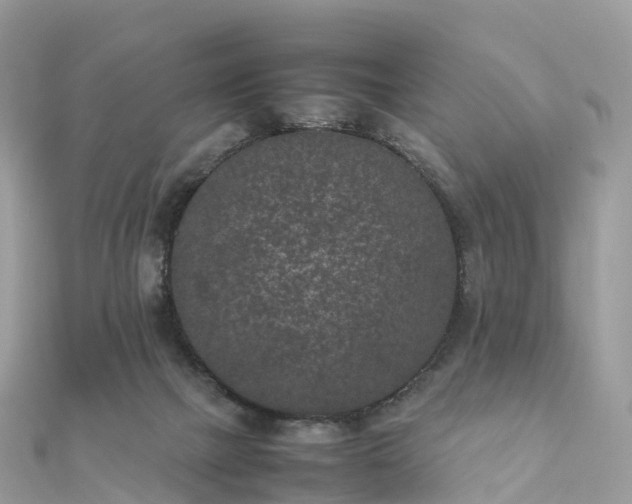 X0000111850073200907301119