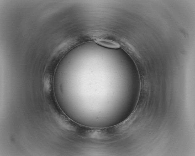 X0000111850074200907301119