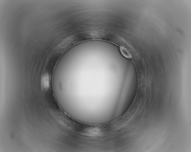 X0000111850075200907301119