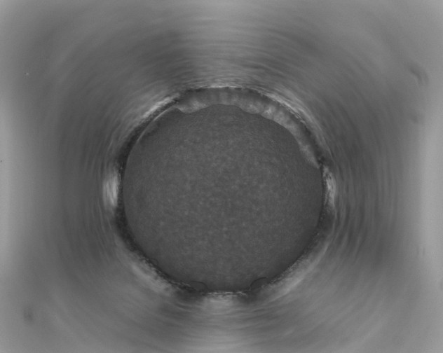 X0000111850076200907301119