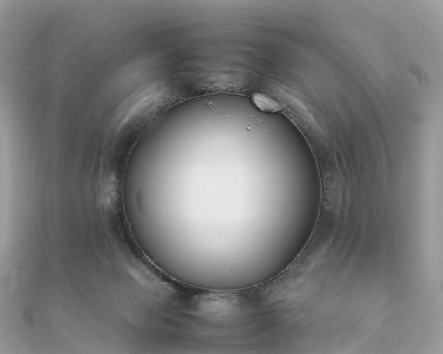 X0000111850077200907301119