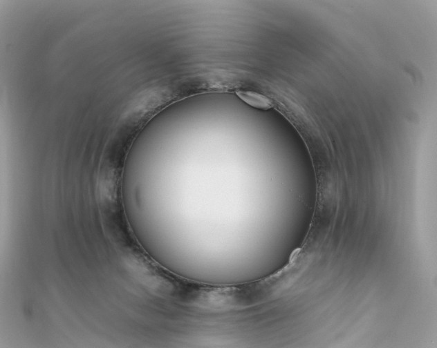 X0000111850078200907301119