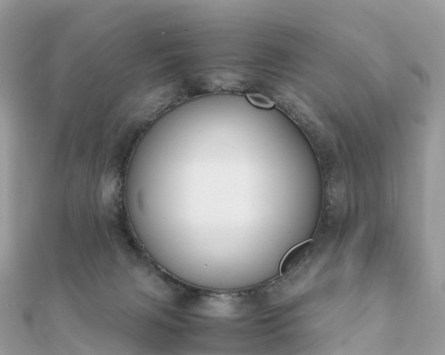 X0000111850079200907301119