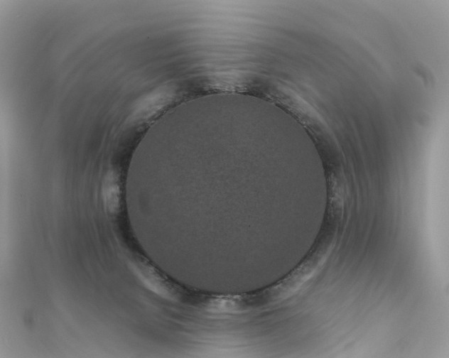 X0000111850080200907301119