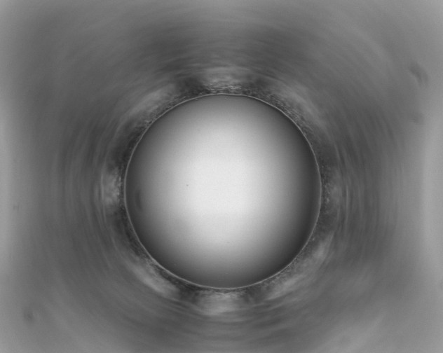 X0000111850081200907301119