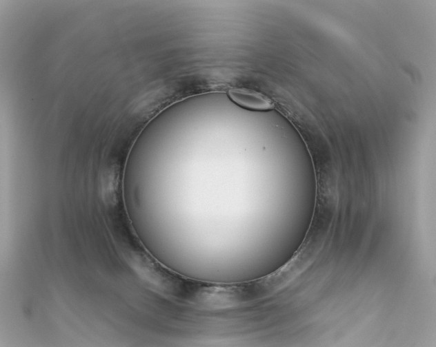 X0000111850082200907301119