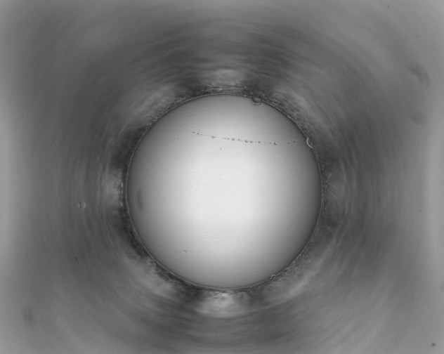 X0000111850083200907301119