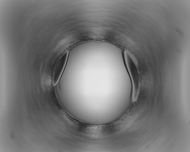 X0000111850084200907301120