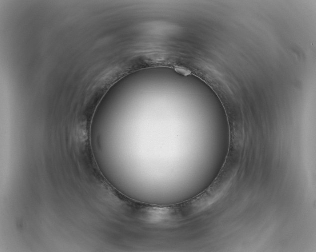 X0000111850085200907301120