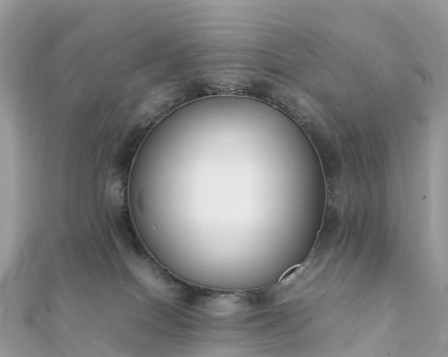 X0000111850086200907301120