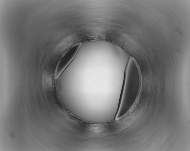 X0000111850088200907301120