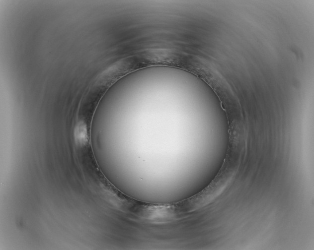 X0000111850089200907301120