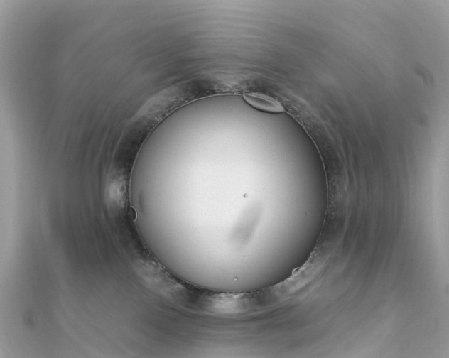 X0000111850090200907301120