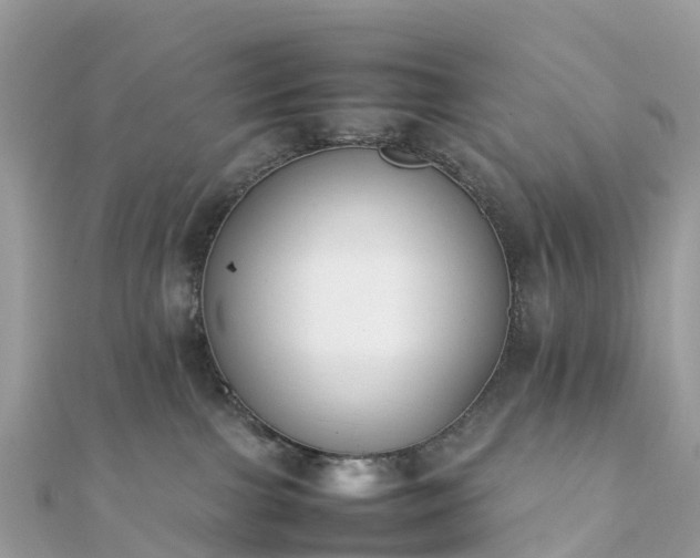 X0000111850091200907301120