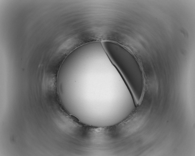 X0000111850092200907301120