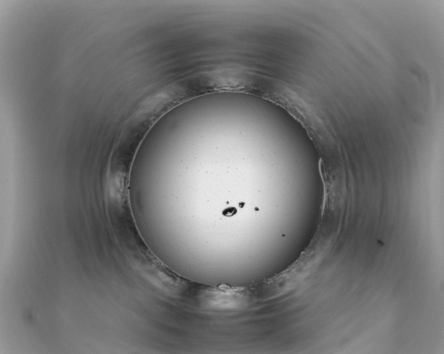 X0000111850093200907301120