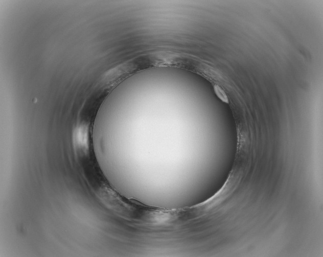 X0000111850094200907301120