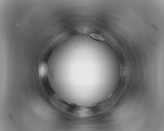 X0000111850095200907301120