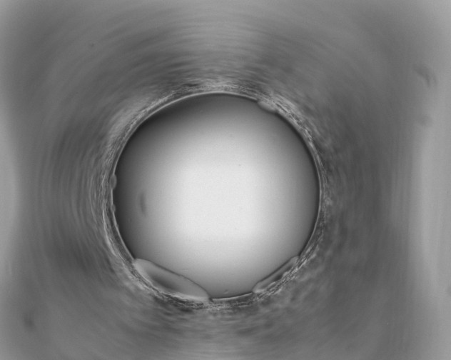 X0000111850097200907301119