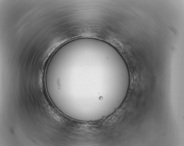 X0000111850098200907301119