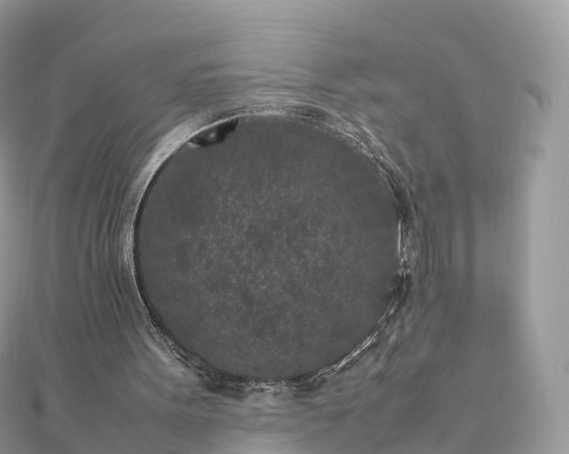 X0000111850099200907301119