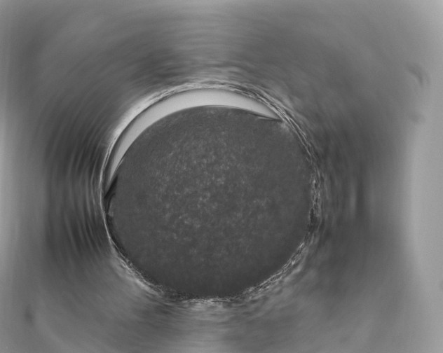 X0000111850100200907301119